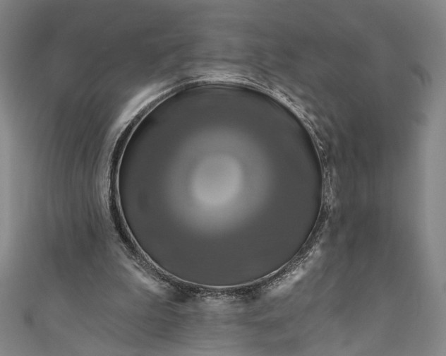 X0000111200199200907221137