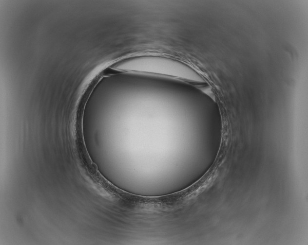 X0000111200200200907221137