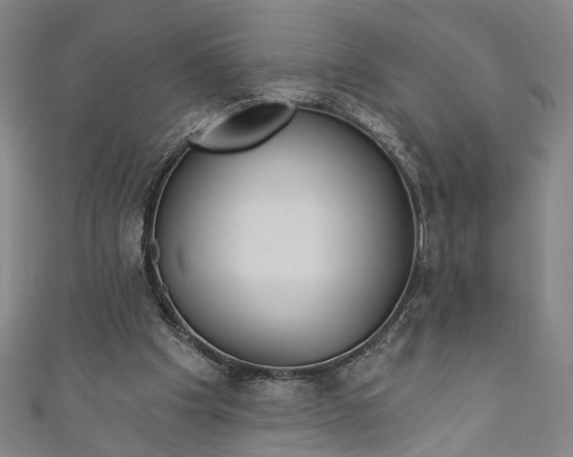 X0000111200201200907221137