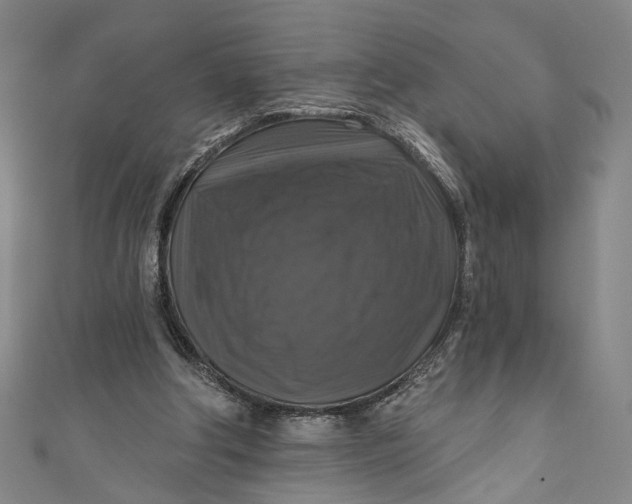 X0000111200202200907221137