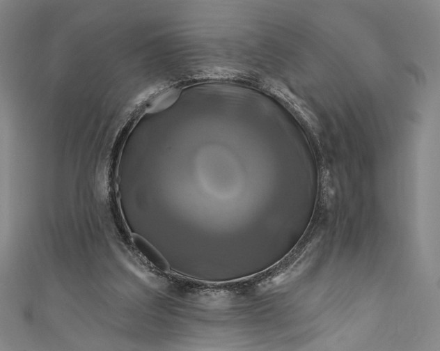 X0000111200203200907221137