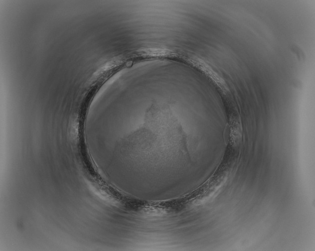 X0000111200207200907221137