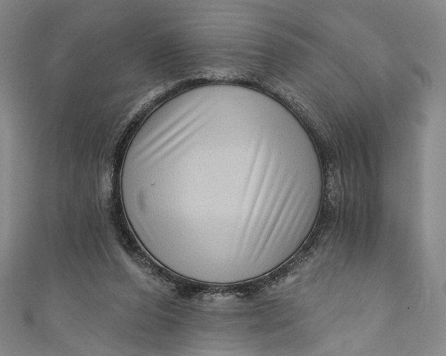 X0000111200208200907221137