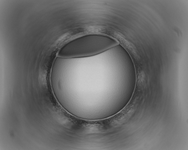 X0000111200209200907221137