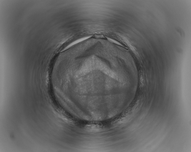 X0000111200211200907221137