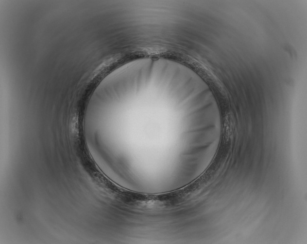 X0000111200212200907221137