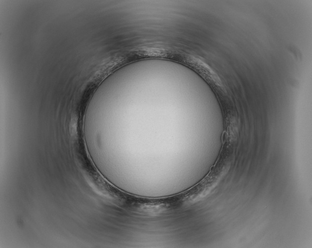 X0000111200213200907221137