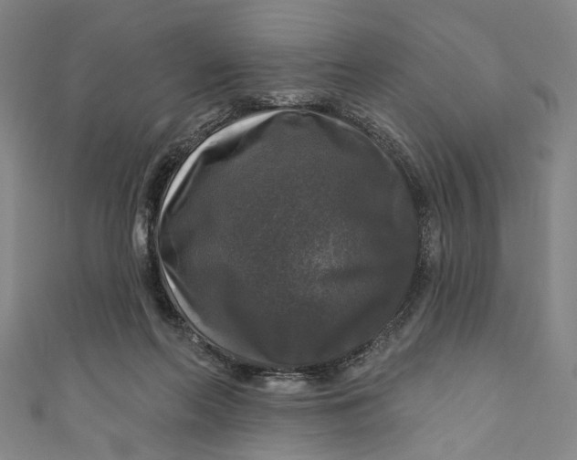 X0000111200214200907221137