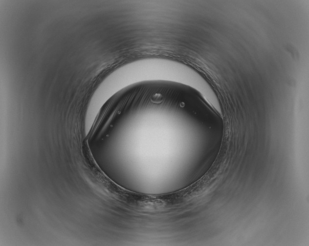 X0000111200215200907221137