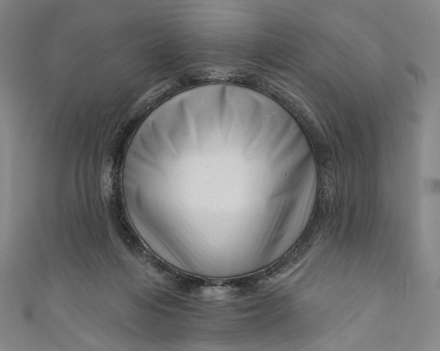 X0000111200216200907221137