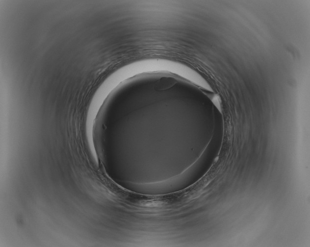 X0000111200219200907221137