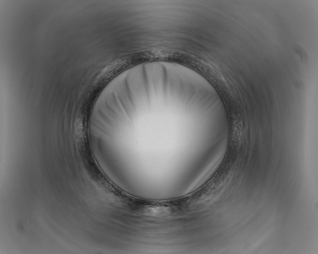 X0000111200220200907221137