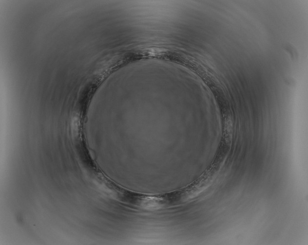 X0000111200222200907221137