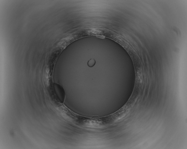 X0000111200223200907221137