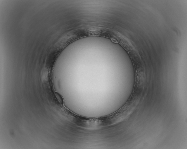 X0000111200225200907221137