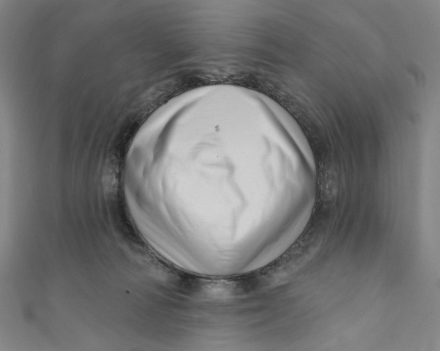 X0000111200226200907221137