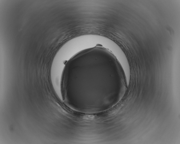 X0000111200227200907221137