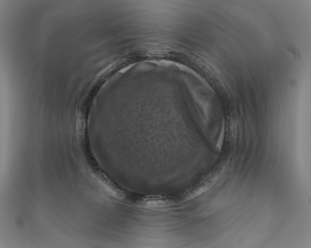 X0000111200228200907221137