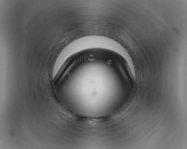 X0000111200229200907221137