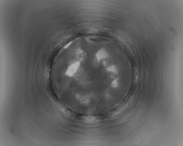 X0000111200230200907221137