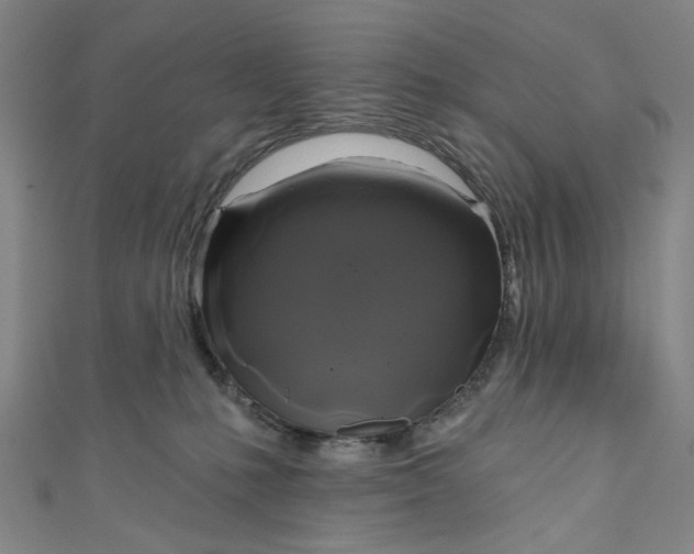 X0000111200231200907221137