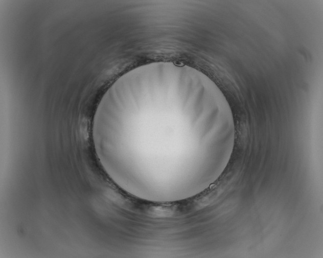 X0000111200232200907221137