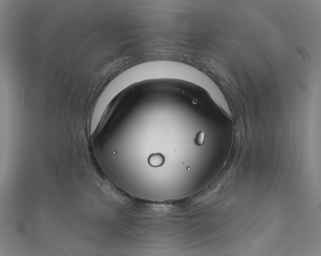 X0000111200233200907221137