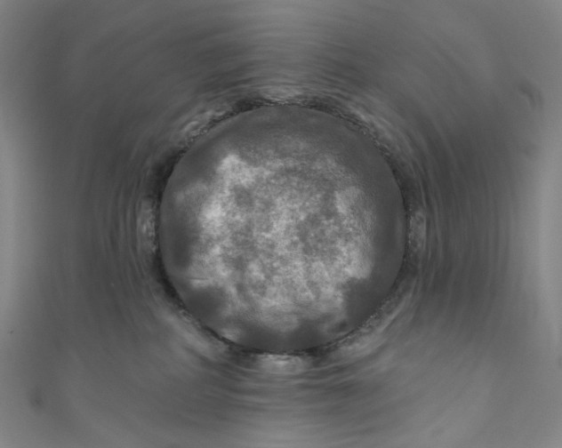 X0000111200234200907221137