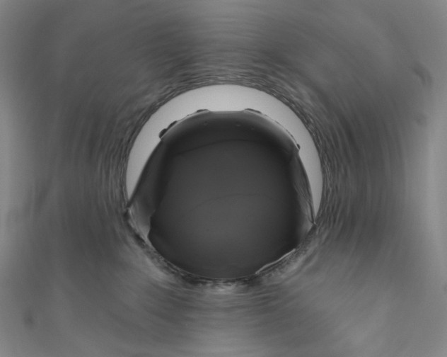 X0000111200235200907221137