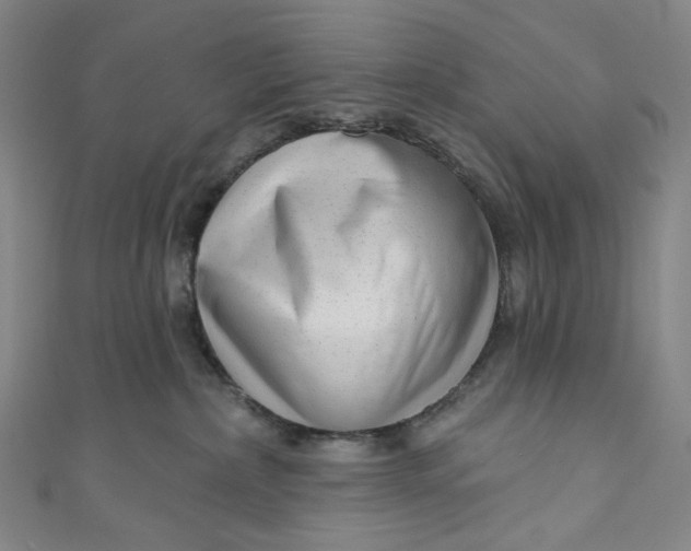 X0000111200236200907221137