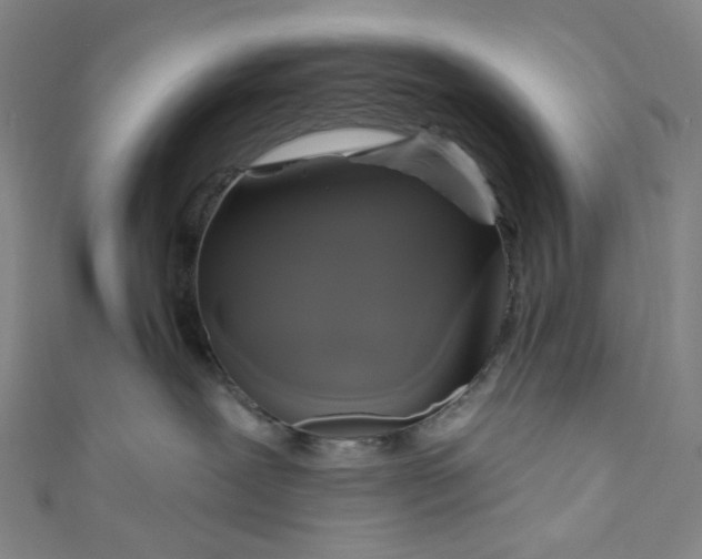 X0000111200239200907221136