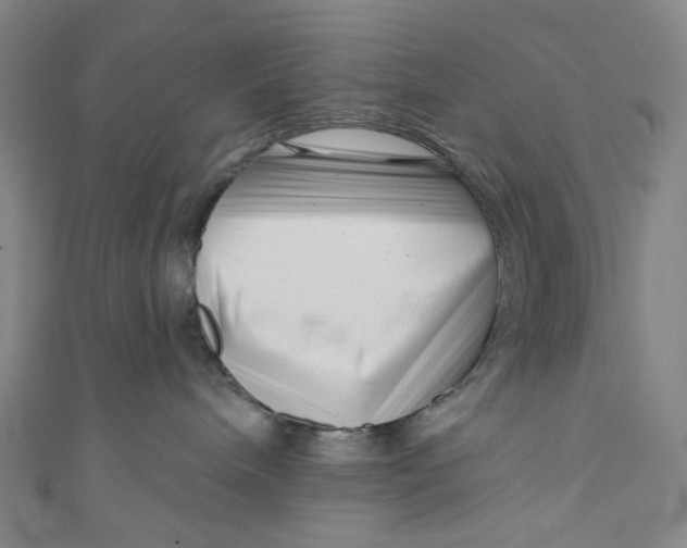 X0000111200240200907221136