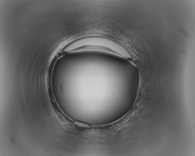 X0000111200244200907221136