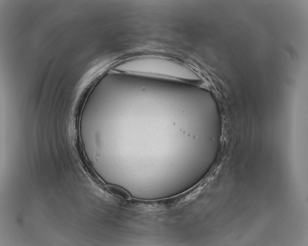 X0000111200245200907221136