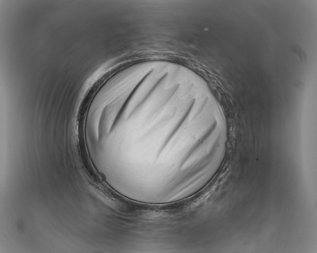 X0000111200246200907221136