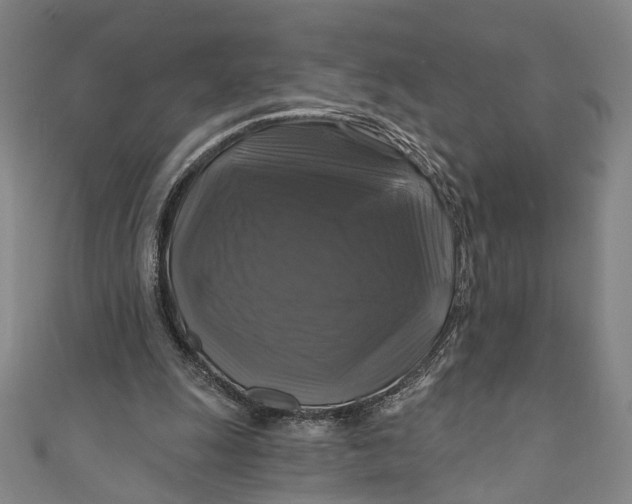 X0000111200247200907221136