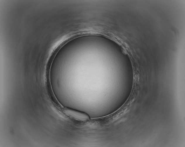 X0000111200248200907221136