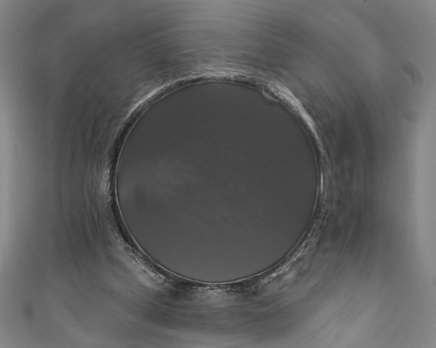 X0000111200249200907221136