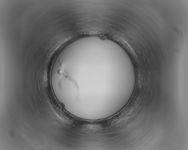 X0000111200251200907221136