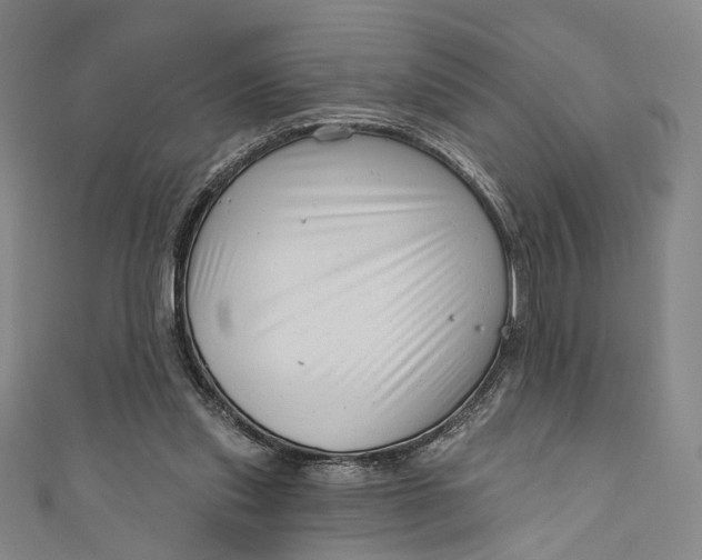 X0000111200253200907221136