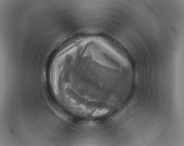 X0000111200254200907221136