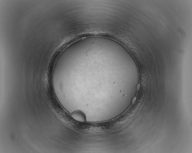 X0000111200256200907221136