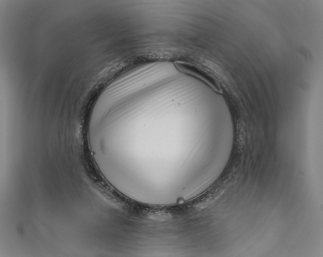 X0000111200258200907221136