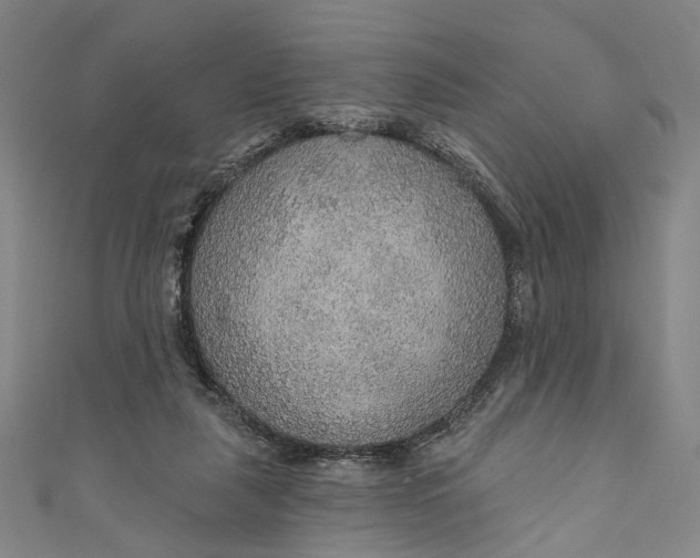 X0000111200259200907221136