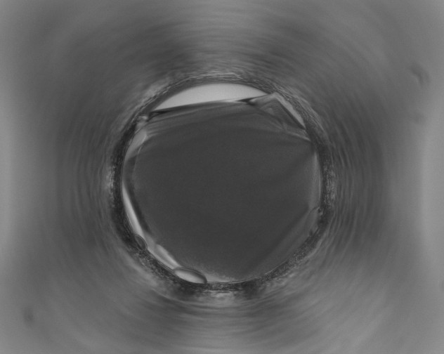 X0000111200260200907221136