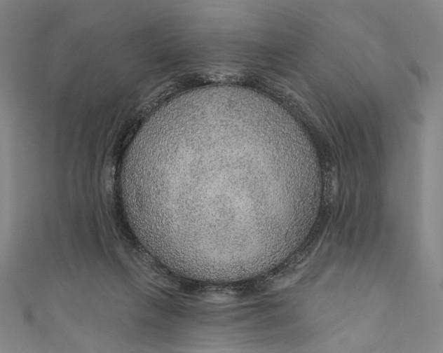 X0000111200263200907221136