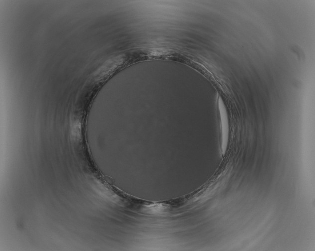 X0000111200269200907221136