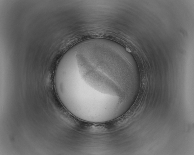 X0000111200270200907221136