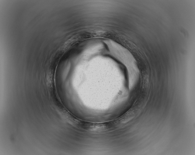 X0000111200274200907221136