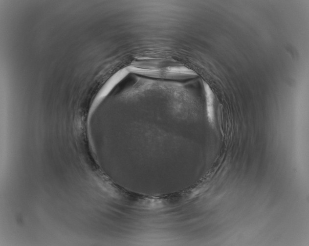 X0000111200276200907221136